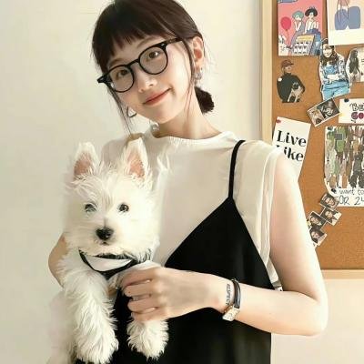 非屠龙童话